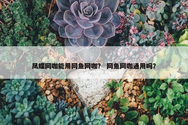 凤蝶网咖能用网鱼网咖？ 网鱼网咖通用吗？