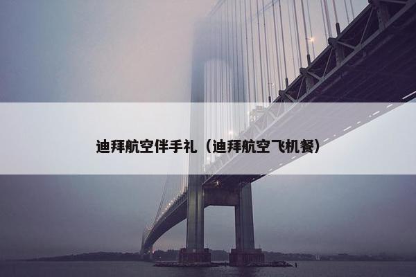 迪拜航空伴手礼（迪拜航空飞机餐）