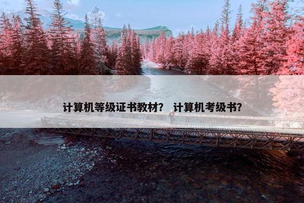 计算机等级证书教材？ 计算机考级书？