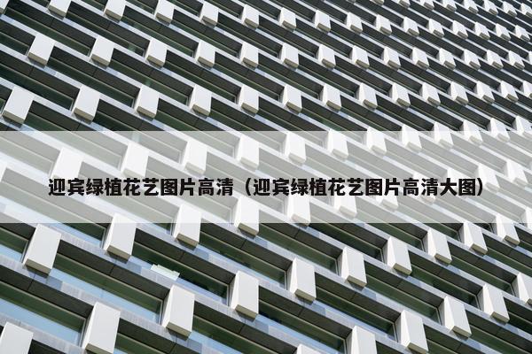 迎宾绿植花艺图片高清（迎宾绿植花艺图片高清大图）