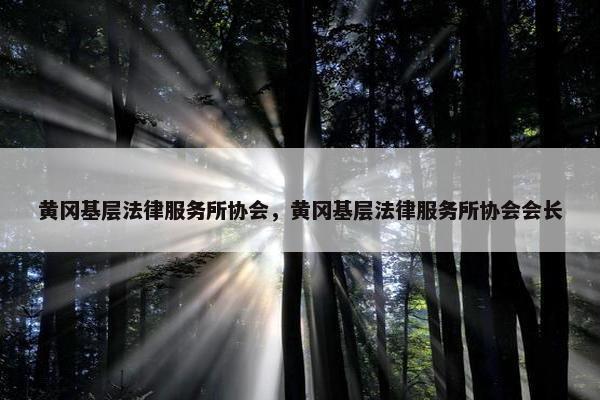 黄冈基层法律服务所协会，黄冈基层法律服务所协会会长