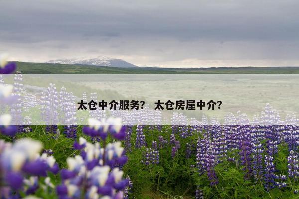 太仓中介服务？ 太仓房屋中介？