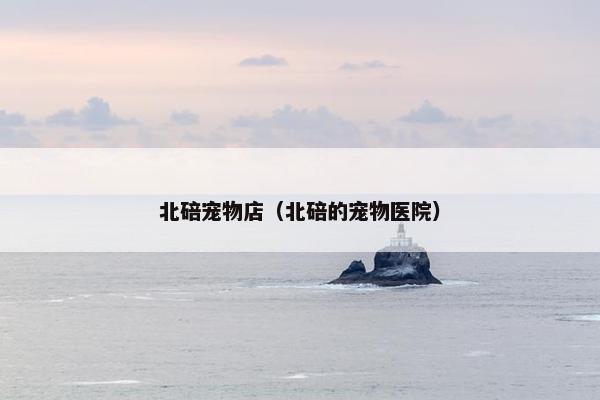 北碚宠物店（北碚的宠物医院）