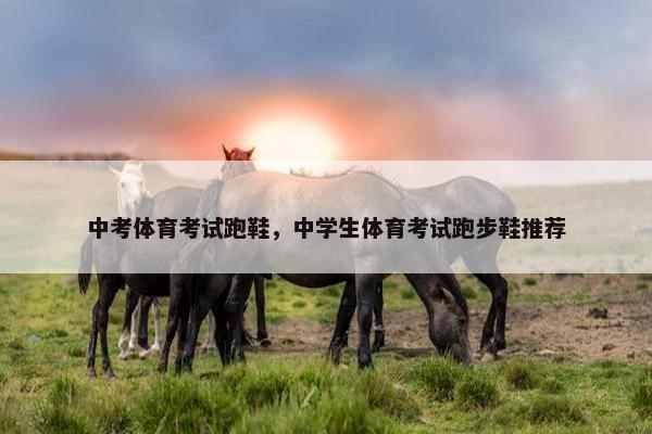 中考体育考试跑鞋，中学生体育考试跑步鞋推荐