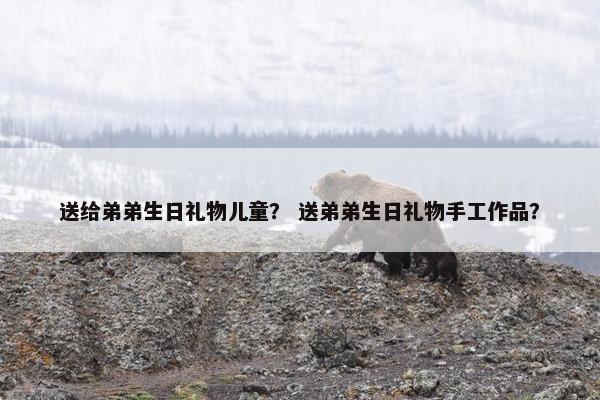 送给弟弟生日礼物儿童？ 送弟弟生日礼物手工作品？