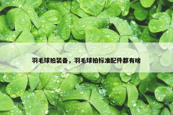 羽毛球拍装备，羽毛球拍标准配件都有啥