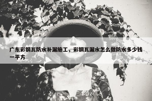 广东彩钢瓦防水补漏施工，彩钢瓦漏水怎么做防水多少钱一平方