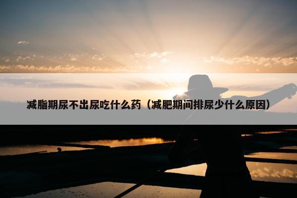 减脂期尿不出尿吃什么药（减肥期间排尿少什么原因）
