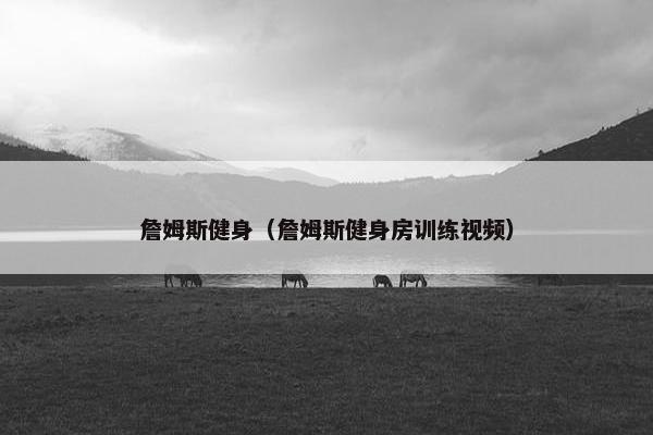 詹姆斯健身（詹姆斯健身房训练视频）