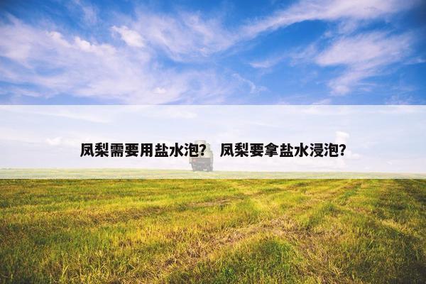 凤梨需要用盐水泡？ 凤梨要拿盐水浸泡？