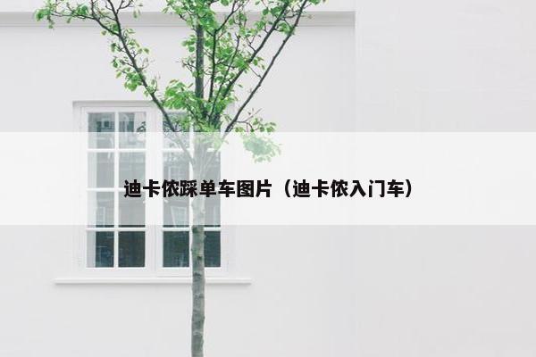 迪卡侬踩单车图片（迪卡侬入门车）