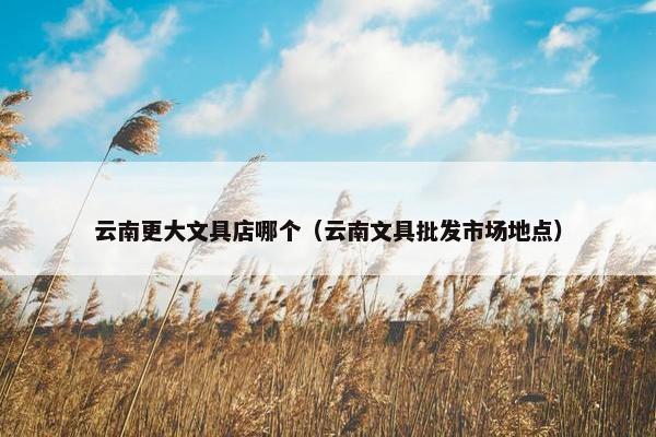 云南更大文具店哪个（云南文具批发市场地点）
