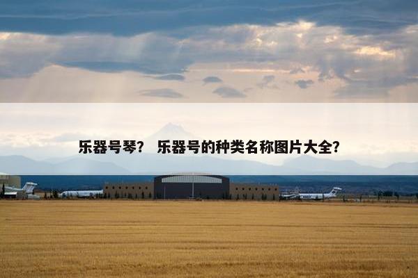 乐器号琴？ 乐器号的种类名称图片大全？