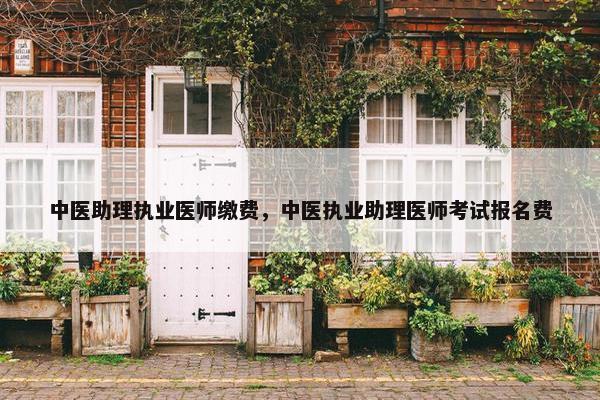 中医助理执业医师缴费，中医执业助理医师考试报名费