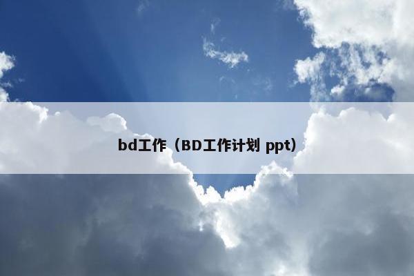 bd工作（BD工作计划 ppt）