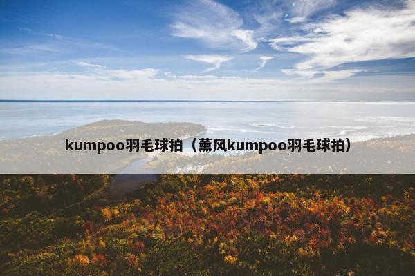 kumpoo羽毛球拍（薰风kumpoo羽毛球拍）