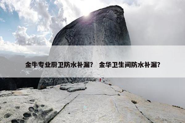 金牛专业厨卫防水补漏？ 金华卫生间防水补漏？