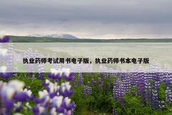 执业药师考试用书电子版，执业药师书本电子版