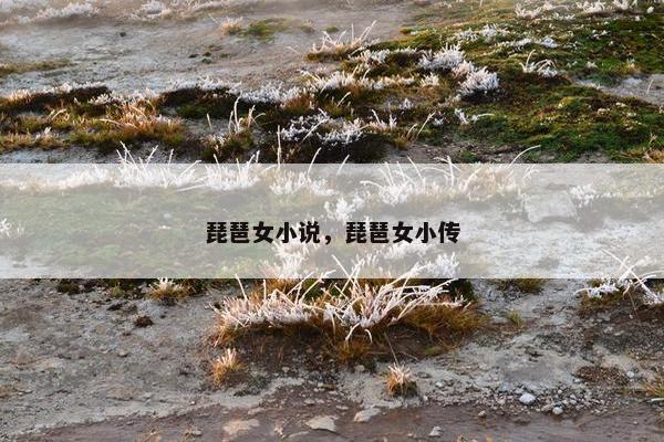 琵琶女小说，琵琶女小传