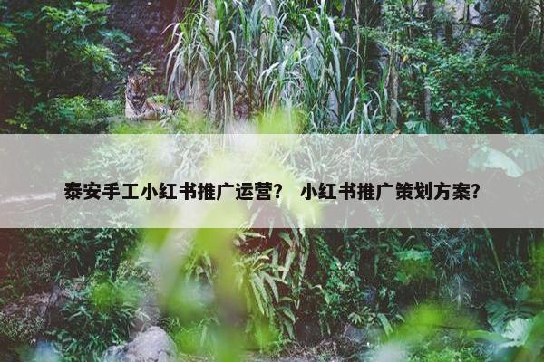 泰安手工小红书推广运营？ 小红书推广策划方案？
