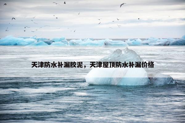 天津防水补漏胶泥，天津屋顶防水补漏价格