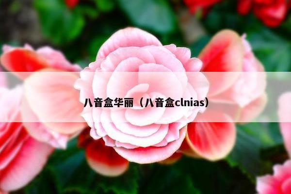 八音盒华丽（八音盒clnias）
