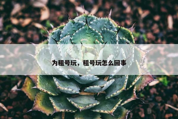 为租号玩，租号玩怎么回事