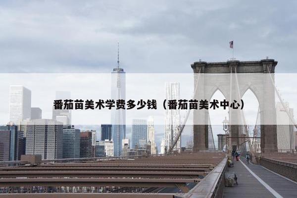 番茄苗美术学费多少钱（番茄苗美术中心）