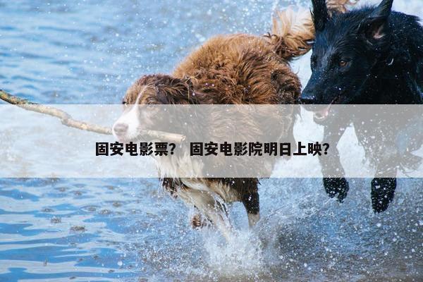 固安电影票？ 固安电影院明日上映？