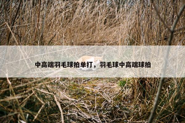 中高端羽毛球拍单打，羽毛球中高端球拍