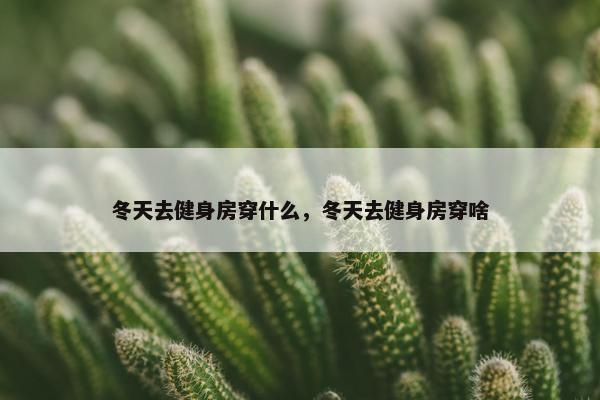 冬天去健身房穿什么，冬天去健身房穿啥