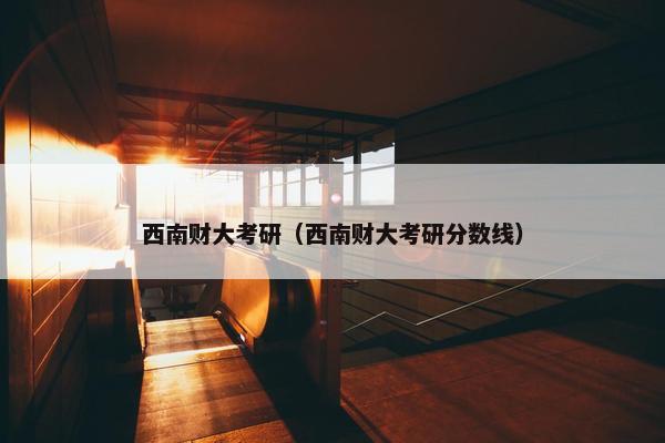 西南财大考研（西南财大考研分数线）