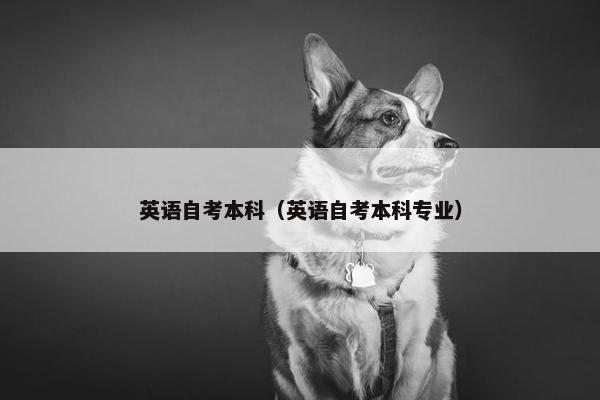 英语自考本科（英语自考本科专业）