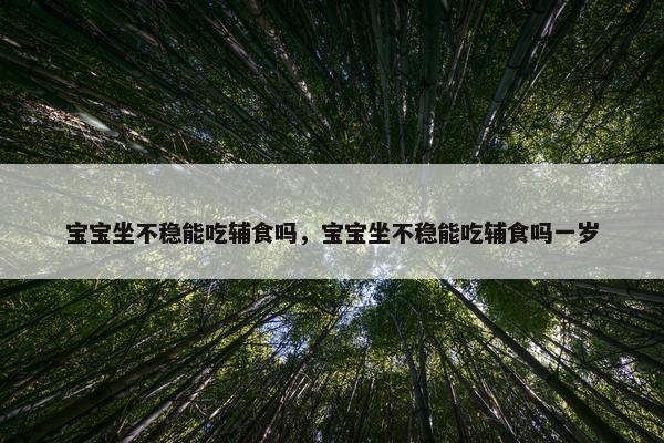 宝宝坐不稳能吃辅食吗，宝宝坐不稳能吃辅食吗一岁