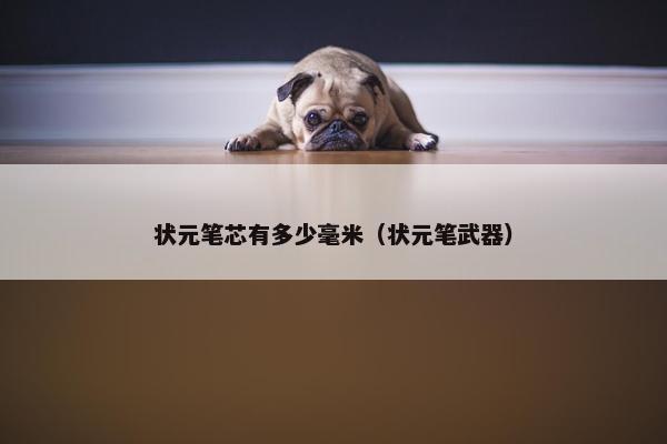 状元笔芯有多少毫米（状元笔武器）