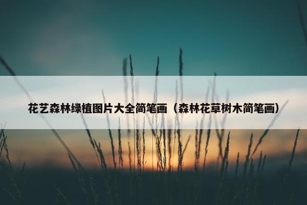 花艺森林绿植图片大全简笔画（森林花草树木简笔画）