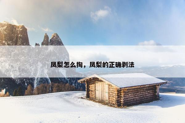 凤梨怎么掏，凤梨的正确剥法