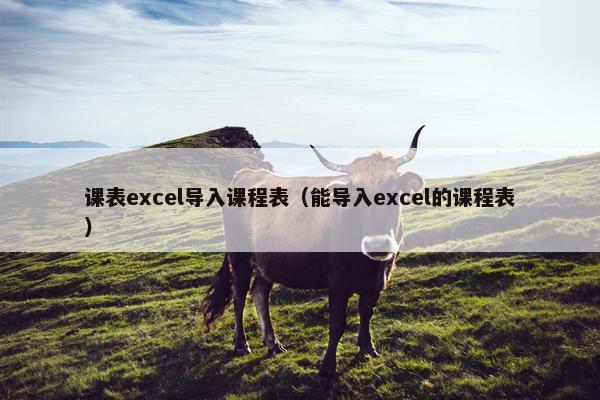 课表excel导入课程表（能导入excel的课程表）