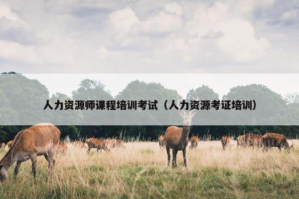 人力资源师课程培训考试（人力资源考证培训）