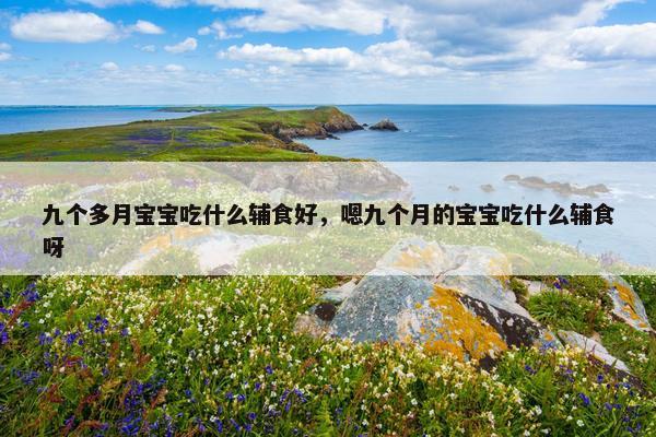 九个多月宝宝吃什么辅食好，嗯九个月的宝宝吃什么辅食呀