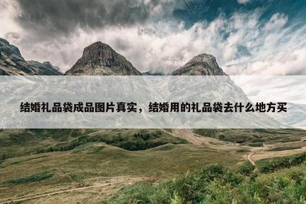 结婚礼品袋成品图片真实，结婚用的礼品袋去什么地方买