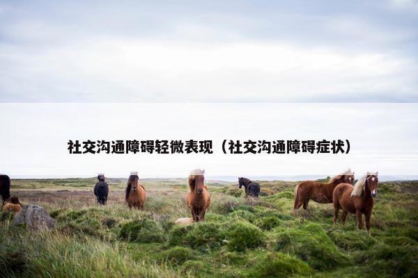 社交沟通障碍轻微表现（社交沟通障碍症状）