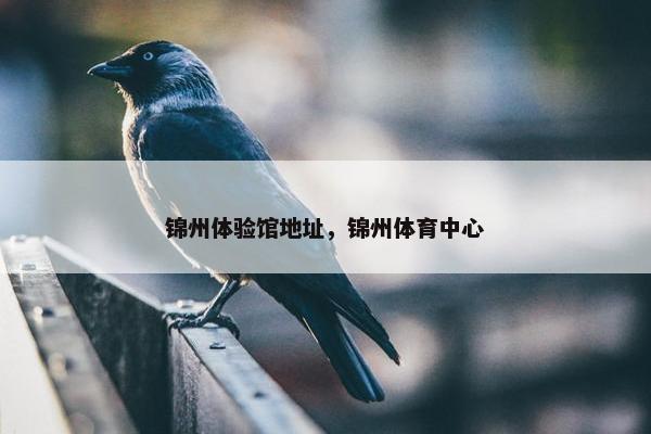 锦州体验馆地址，锦州体育中心