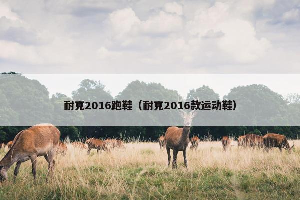 耐克2016跑鞋（耐克2016款运动鞋）