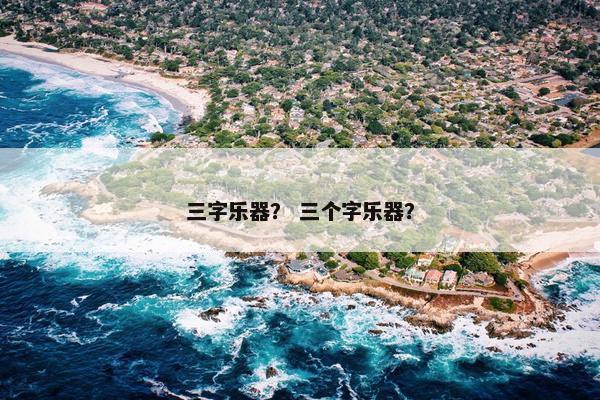 三字乐器？ 三个字乐器？
