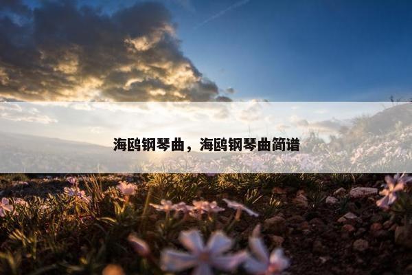 海鸥钢琴曲，海鸥钢琴曲简谱