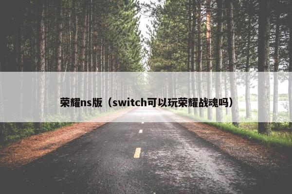 荣耀ns版（switch可以玩荣耀战魂吗）