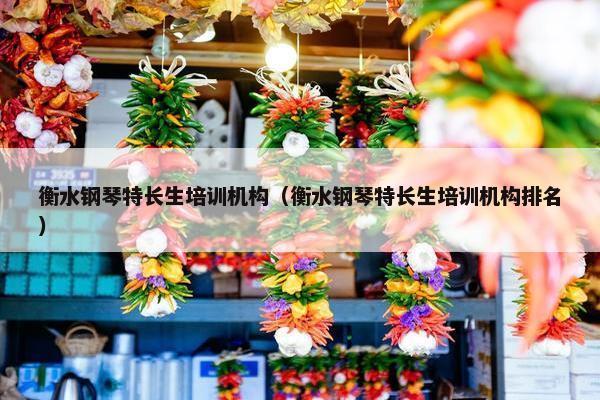 衡水钢琴特长生培训机构（衡水钢琴特长生培训机构排名）