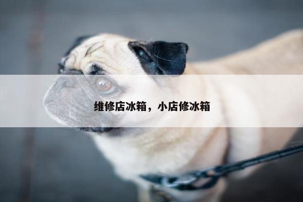 维修店冰箱，小店修冰箱