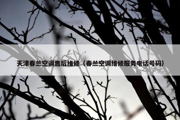天津春兰空调售后维修（春兰空调维修服务电话号码）